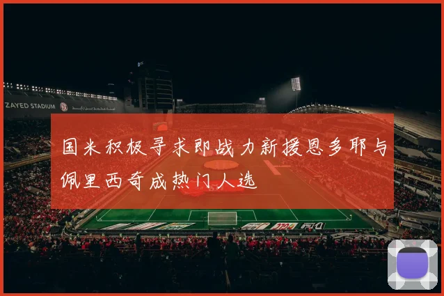 国米积极寻求即战力新援恩多耶与佩里西奇成热门人选