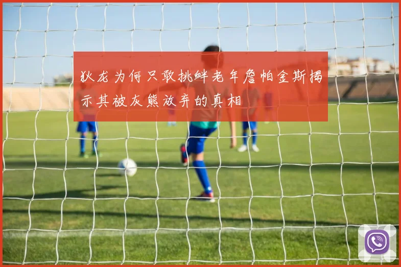 狄龙为何只敢挑衅老年詹帕金斯揭示其被灰熊放弃的真相