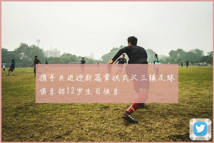 携手共进迎新篇章祝武汉三镇足球俱乐部12岁生日快乐