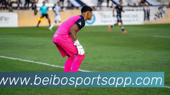 贝博体育发展历程