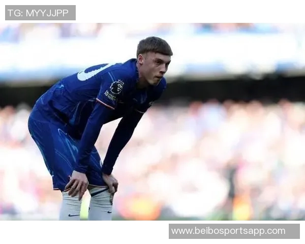 斯科尔斯认为切尔西不应外租杰克逊帕尔默将受益于他的存在